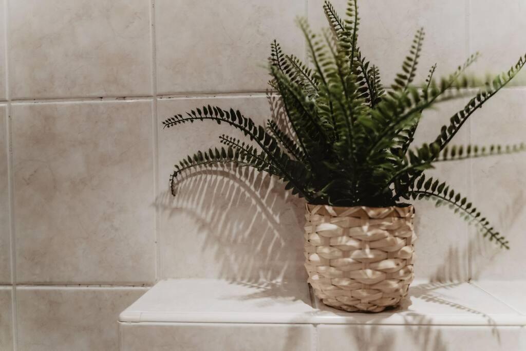 Cosy And Romantic Forest House Met Sauna Op De Veluwe 皮滕 外观 照片